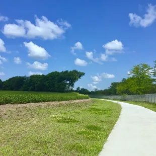 Trail looks like this after you passed Costco and in the midway to the end, it has soybean planted on the left side.   8/18/18