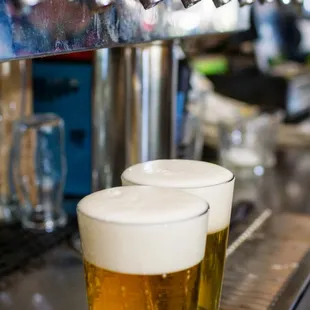 two glasses of beer on a bar