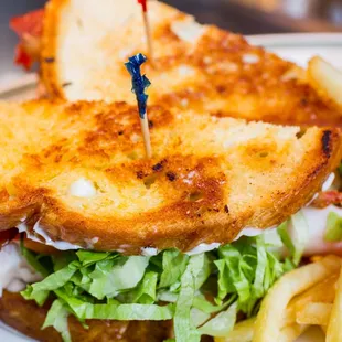 a grilled cheese sandwich and french fries