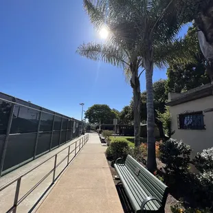 a bench and palm trees