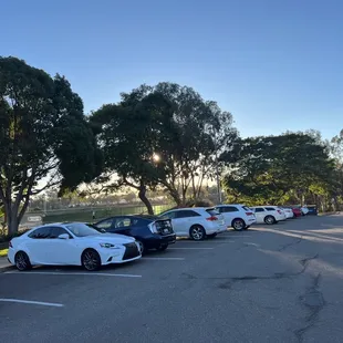 cars parked in a parking lot