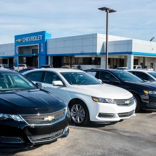 Chevy Impalas lined up for sale at Route 66 Chevrolet