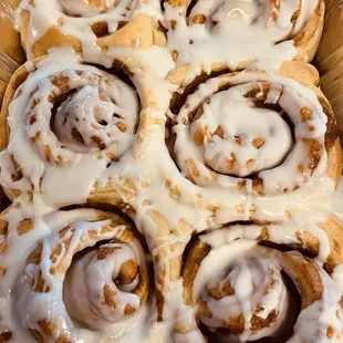 food, shellfish, mussels, oysters and mussels, oysters