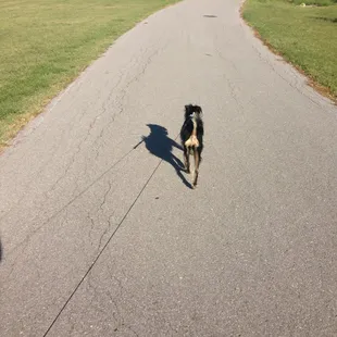 This place is perfect for a 30 minute walk.