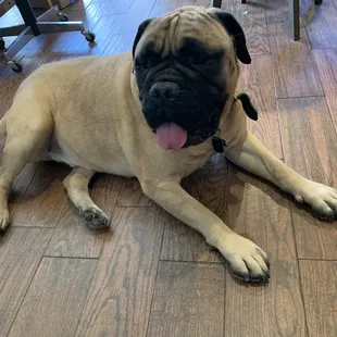 Clean and happy boy