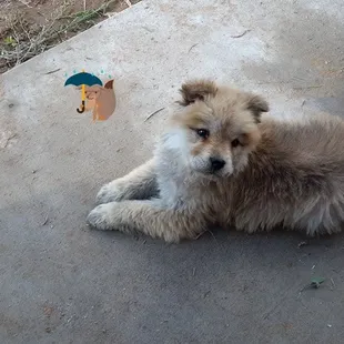 This is Khloe before picture