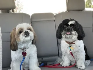 Jack & Rascal's