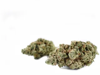 Sacred Garden Green Jeans