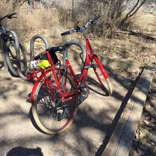 My Routes rental bike at the rio grande nature preserve