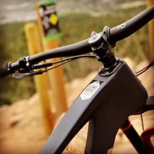 Simply beautiful...and gnarly.