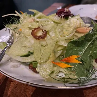 Fennel Salad