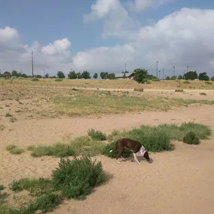 Lots of room to run.