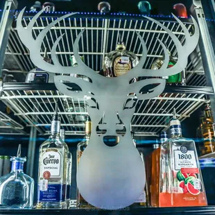 a deer head in a glass case