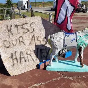 Kiss our @$$ Harvey!