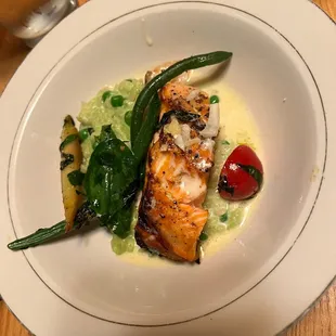 Arctic Char