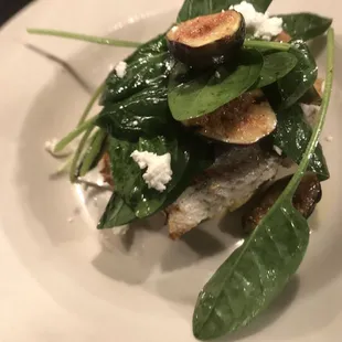 Sea Bass
