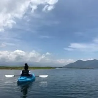 Lanisha G.