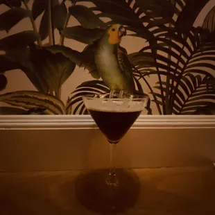 Espresso Martini
