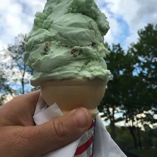 Heavenly Pistachio....creamy with plenty of roasted pistachios