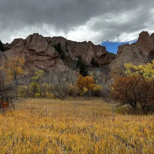 LOVE the contrast in this photo!  Another picture taken along the hiking trail.