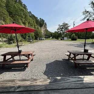 My view from the patio