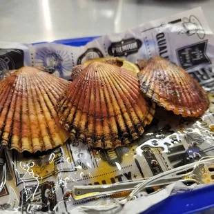 Hot Bay Scallops- eaten YUMMMYYY!!!
