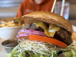 The Counter Miracle Mile