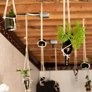 hanging planters with plants in them