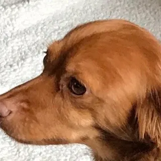 Ce T.