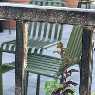 Ah! Lovely day for patio dining!