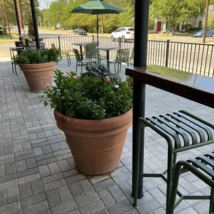 Outdoors for an enjoyable lunch