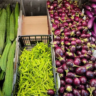 a variety of vegetables