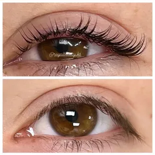 Lash Lift &amp; Tinting