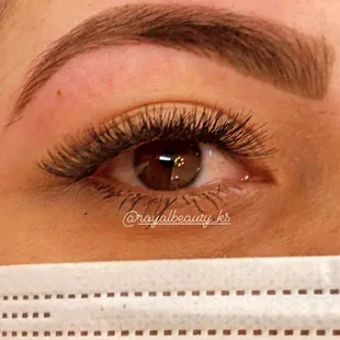Eyebrow tinting &amp; eyelash cluster