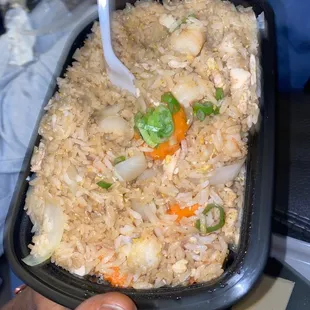 Fried Rice with shrimp and chicken