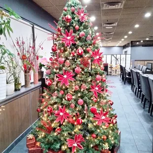 Ready for the Holidays!