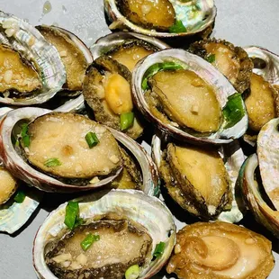 oysters and mussels, food, shellfish, mussels, oysters