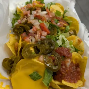 Veggie nachos