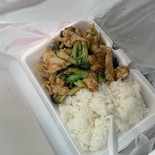 Chicken broccoli lunch special