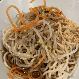 Dan dan hand pulled noodle, tart and weird flavor, no protein just plain noodle. Should have skipped this dish