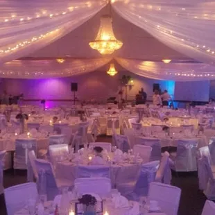 sushi and sashimi, interior