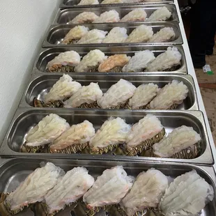 a row of trays of seafood
