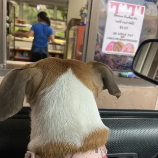 Lilly can&apos;t hardly wait for the plain perfect juicy chicken and crispy bacon burger!
