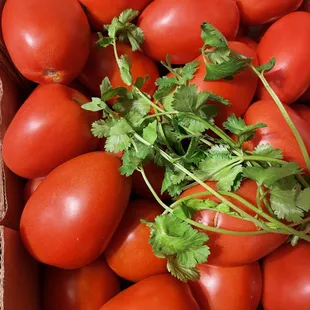 We use the freshest ingredients available.