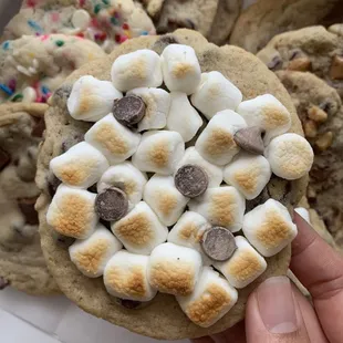 a hand holding a cookie