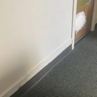 Couldn't afford a new door or to paint the existing door all one color????