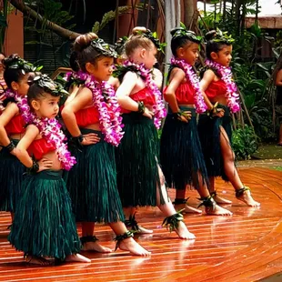 Little keikis doing the hula