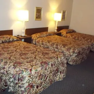 3 bed room