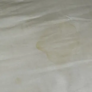Disgusting stains on the bed