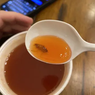 Dead roach in sweet and sour